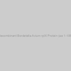 Image of Recombinant Bordetella Avium rplX Protein (aa 1-106)